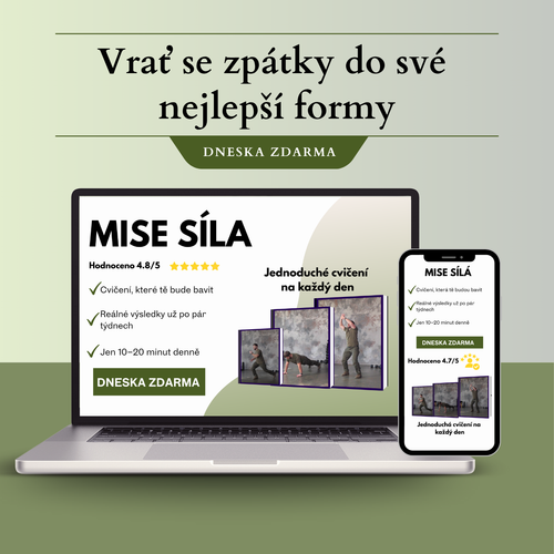 MISE SÍLA - Dostaň se zpátky do formy
