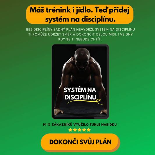 SYSTÉM NA DISCIPLÍNU